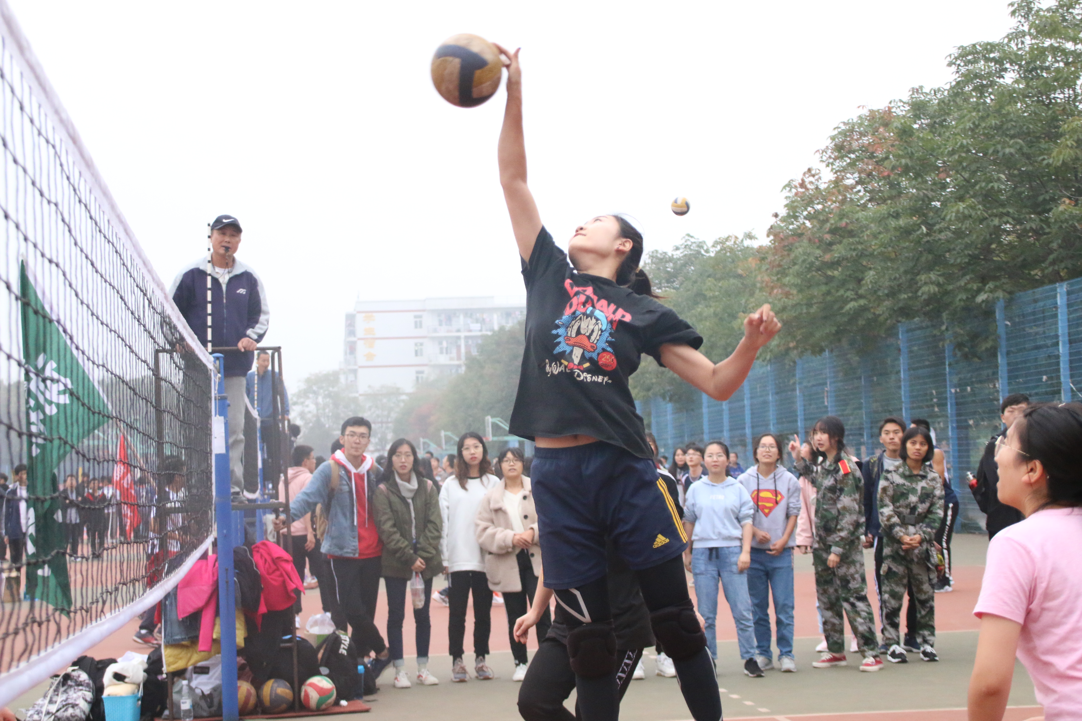 1a9d9517be1f4cc88adc5a8d202c4b80.jpg