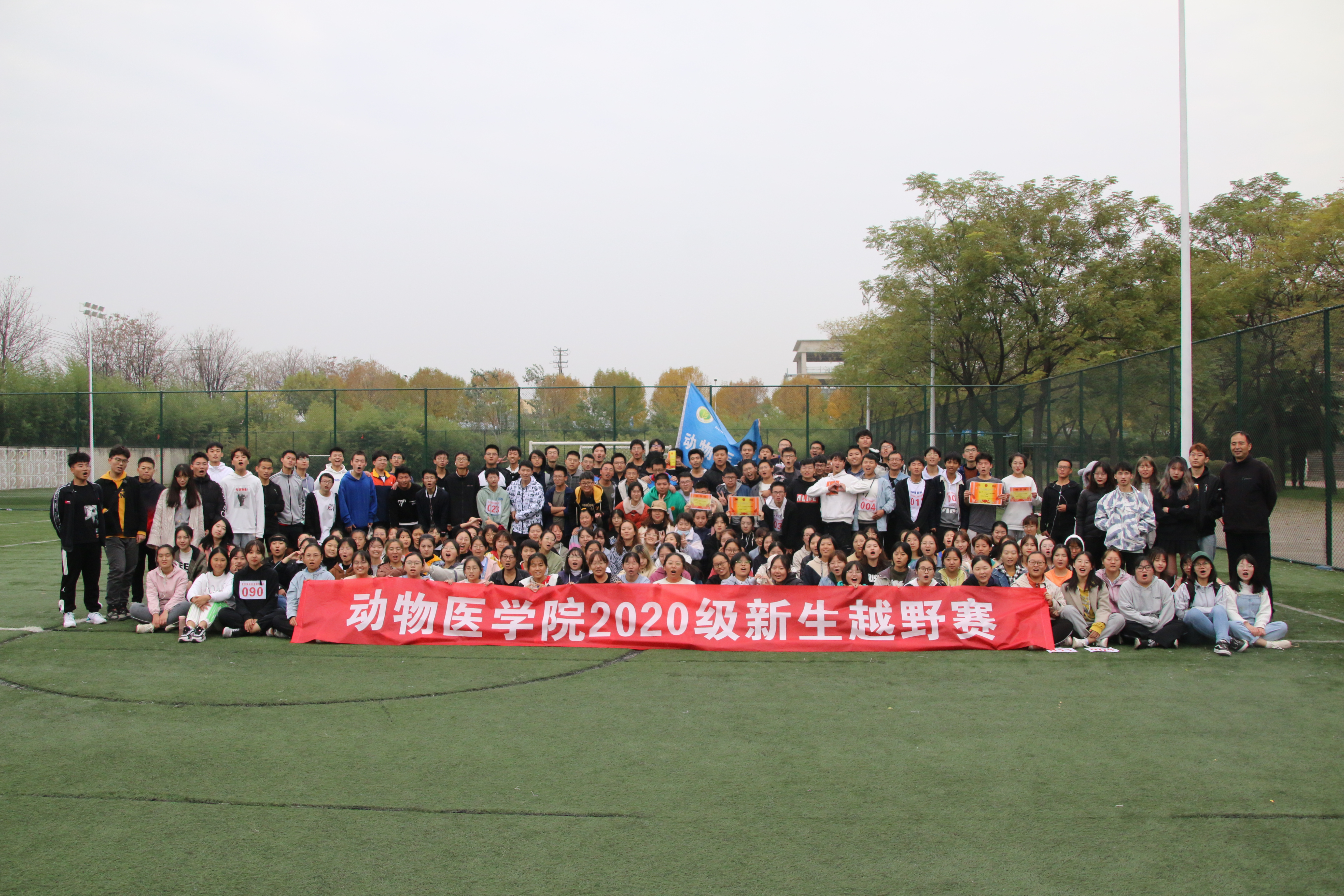 f5cca0bc536146a88c4c4d52cbf91207.jpg