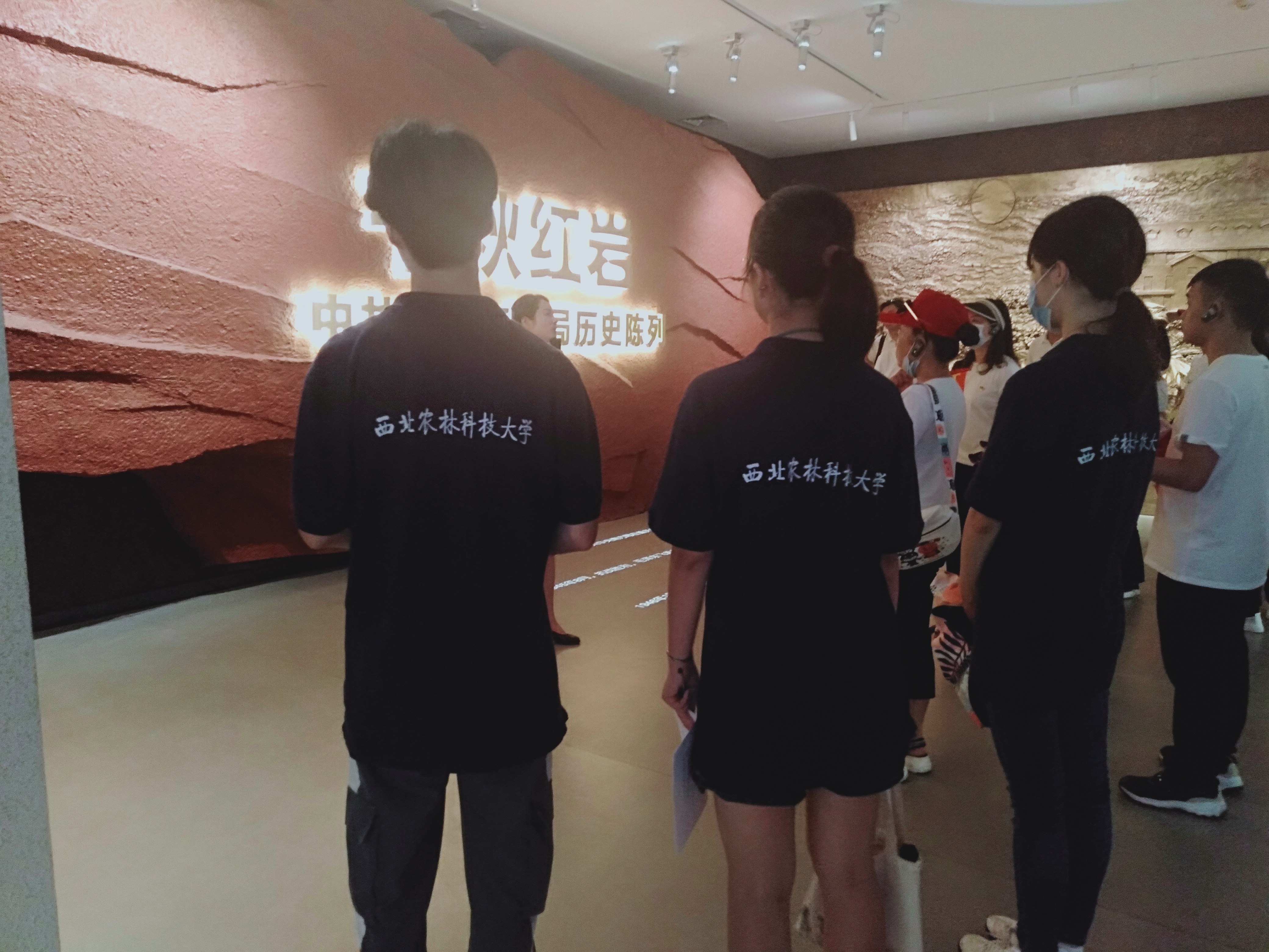89642a26da674220a52fe051e6ab7083.jpeg