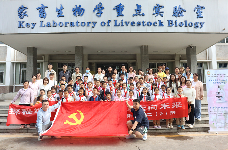 QQ20250526-165522.png