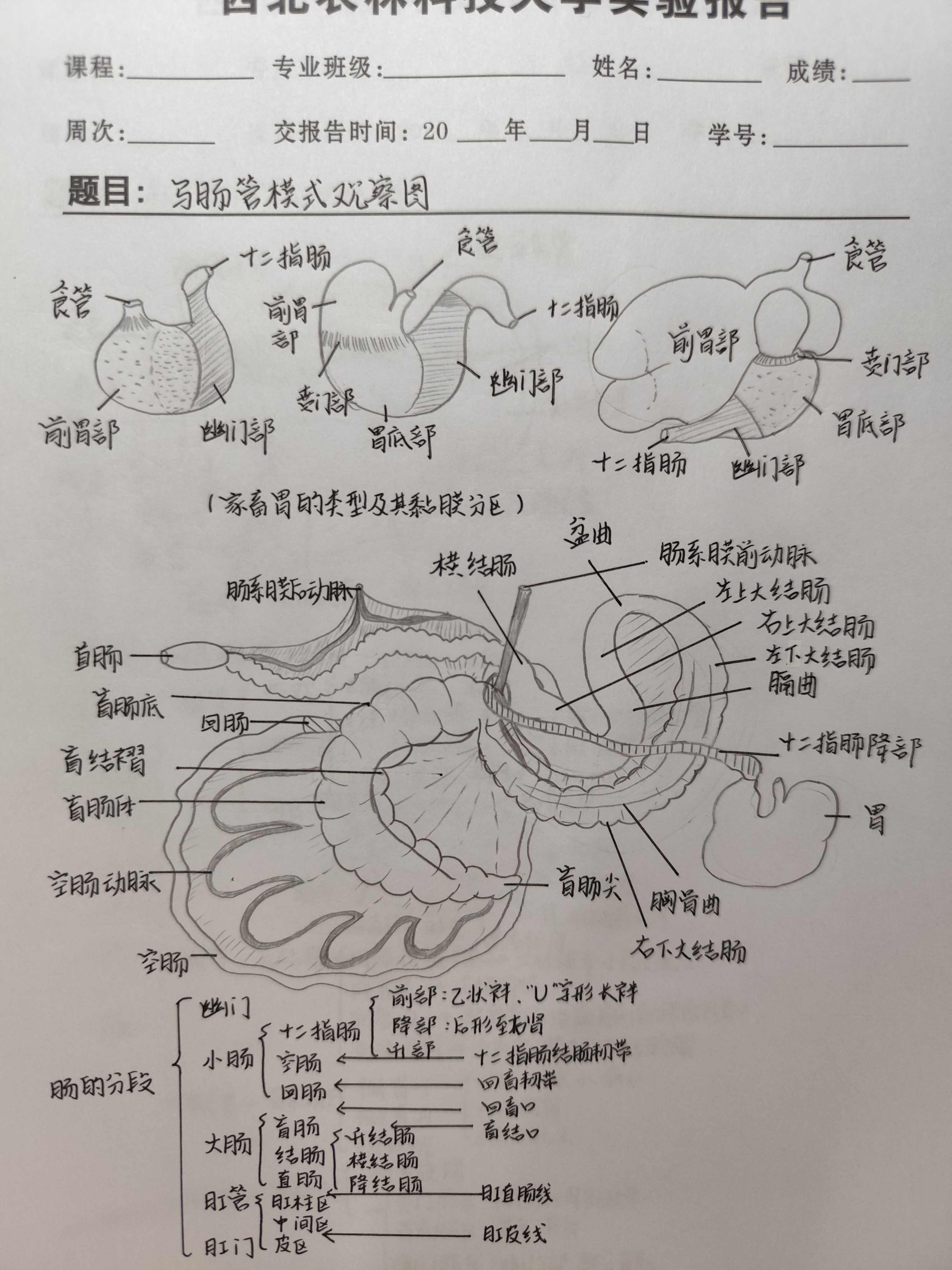 励学笃行 精研实验1.jpg