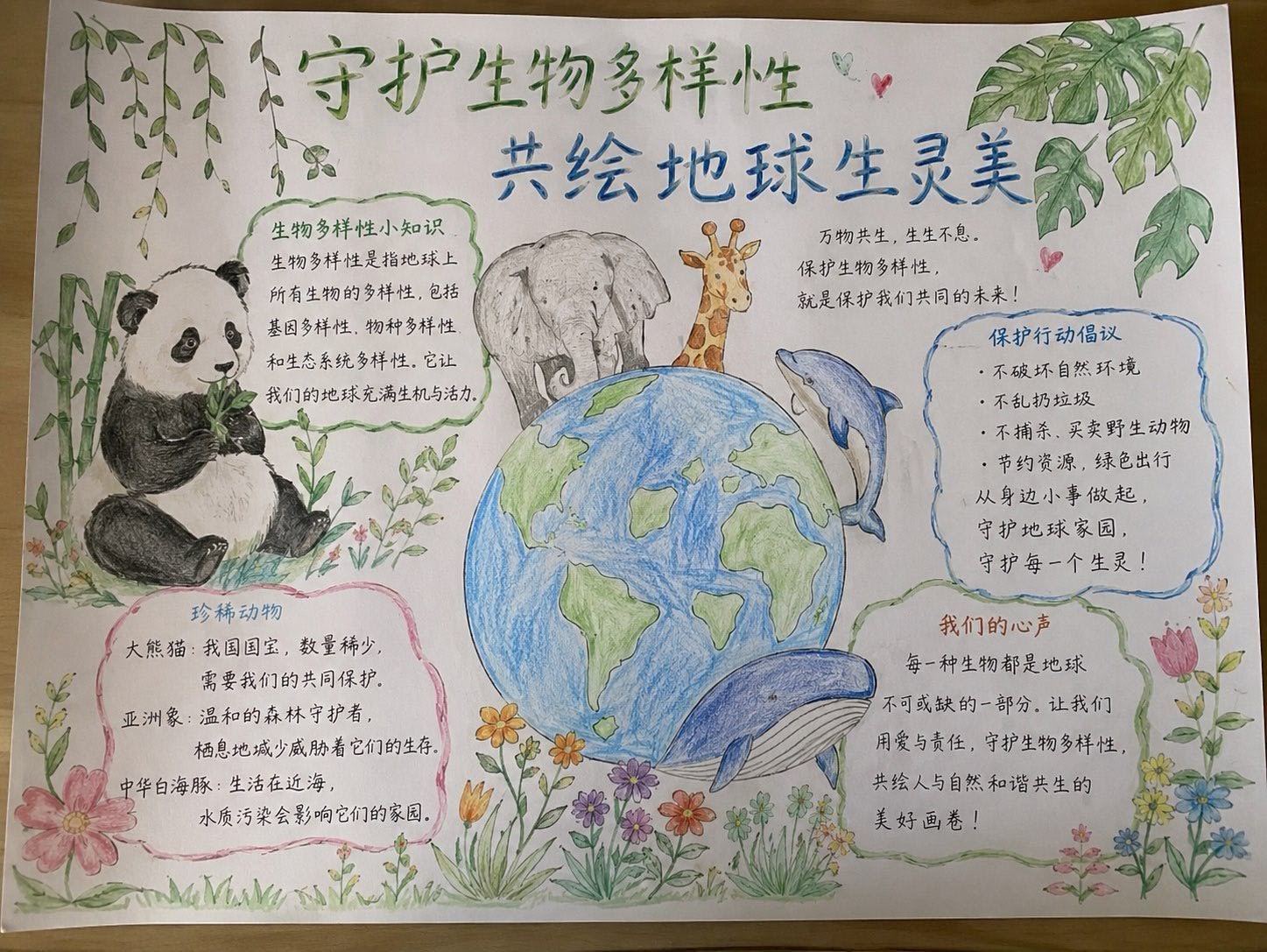 活动图片2.jpg