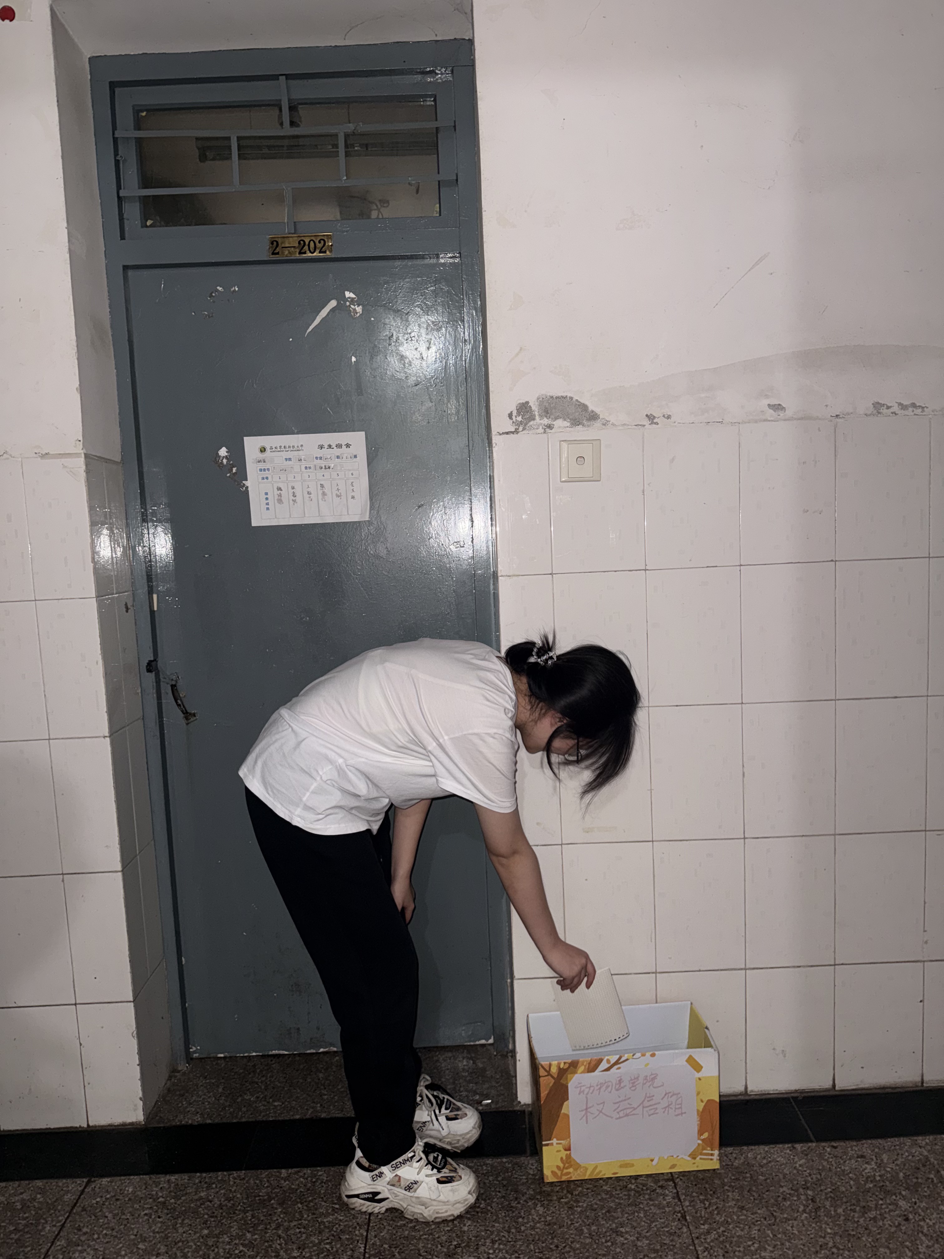 学生投递反馈信件.png