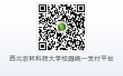 6c896c3d40a843fa81a66c762cb5da5b.png