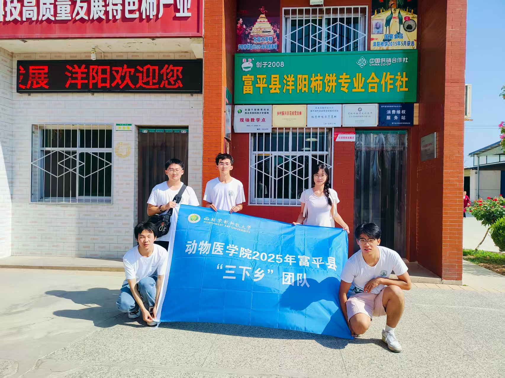 图片2.jpg
