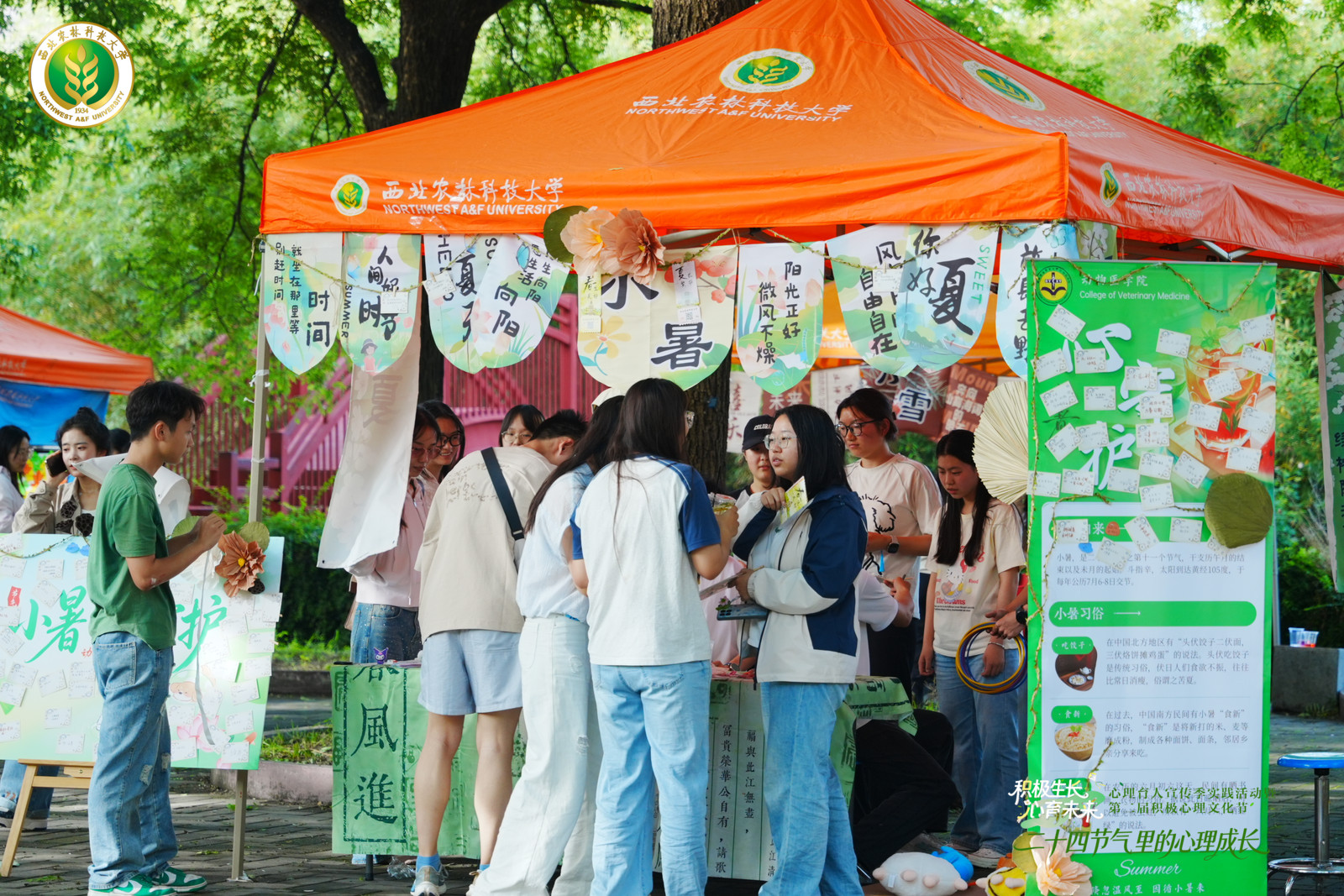 场地布置.jpg