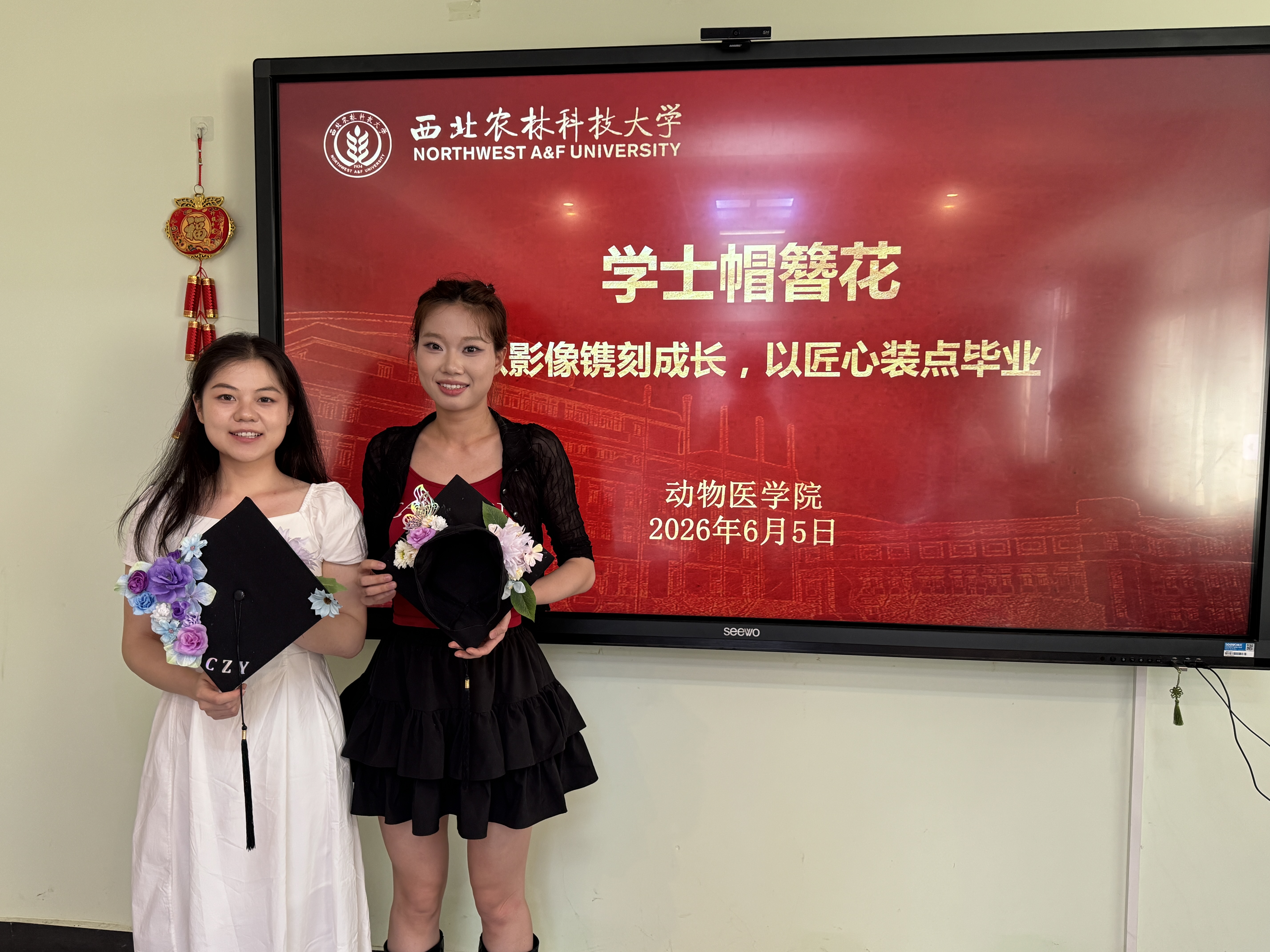 c256e400bba2db2325d9dc99fa688b33.jpg
